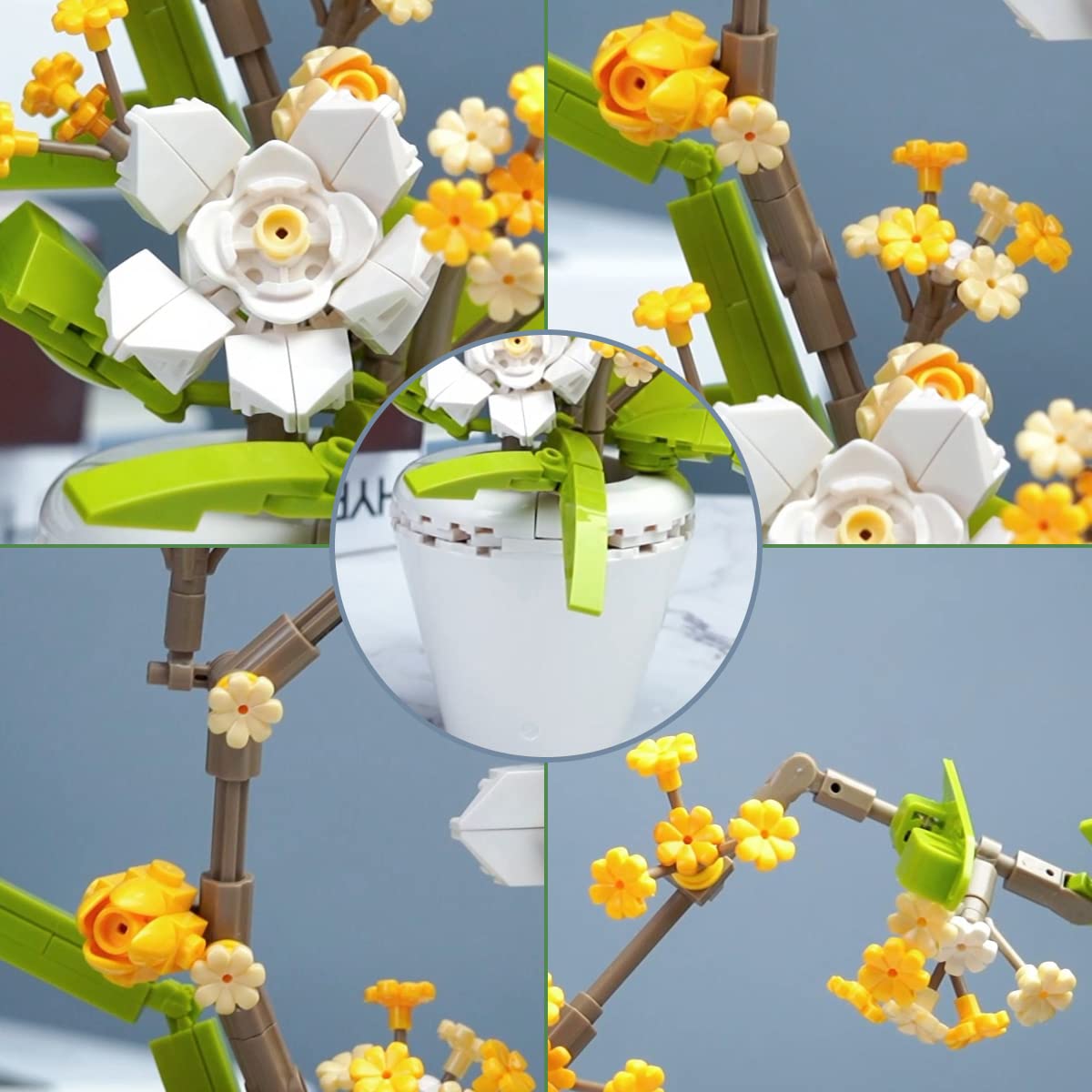 fragrans 430PCS