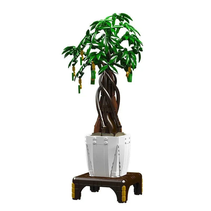 Geldbaum-Pflanze 905TEILE