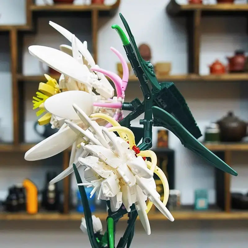 Epiphyllum Bouquet 800PCS