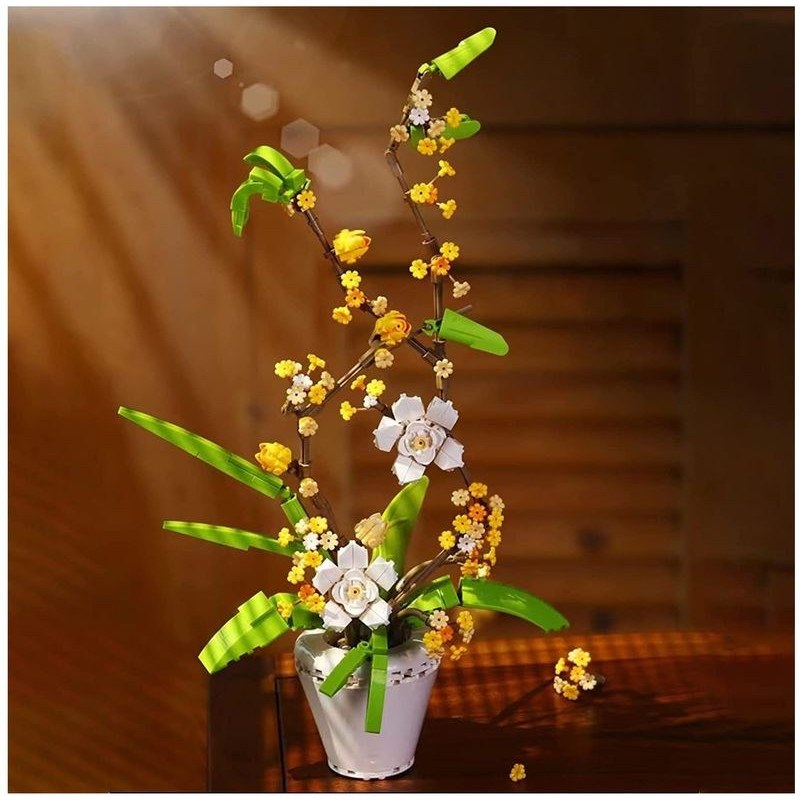 fragrans 430PCS