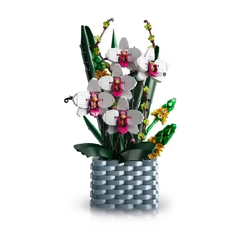 Plants and flowers