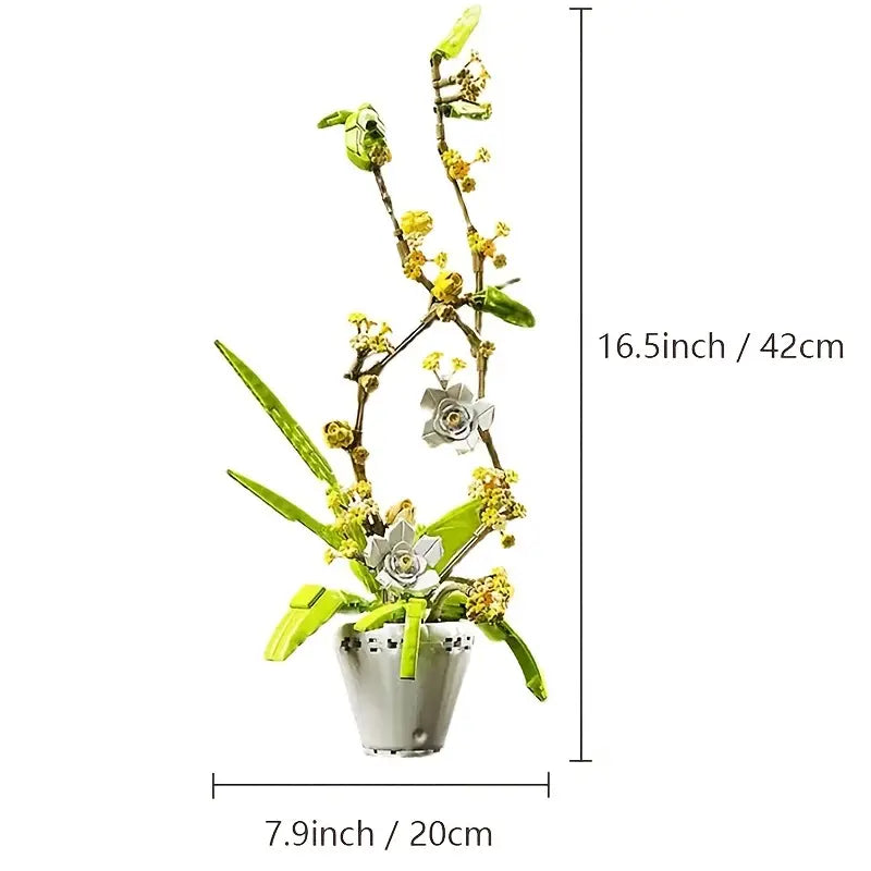 fragrans 430PCS