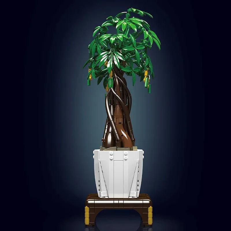 Money Tree plant 905PCS