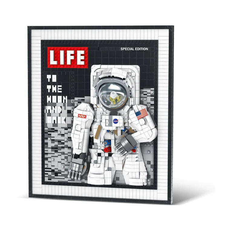 Astronaut to the Moon 2188PCS