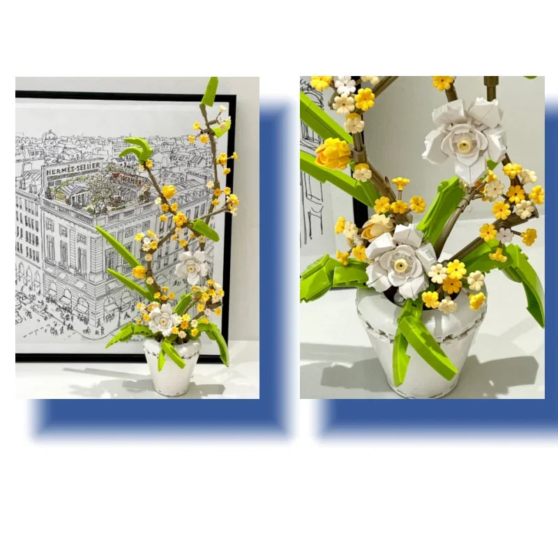 fragrans 430PCS
