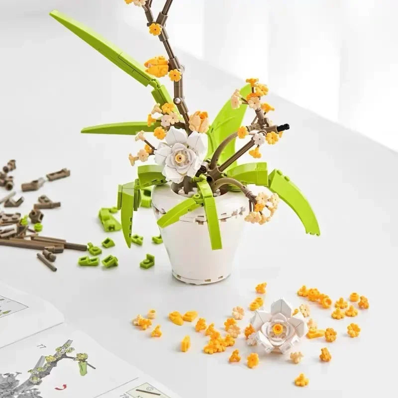 fragrans 430PCS